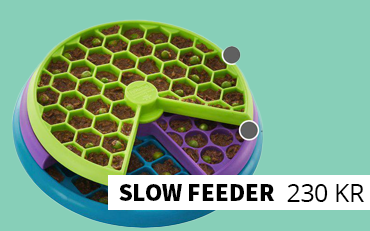 Slow feeder